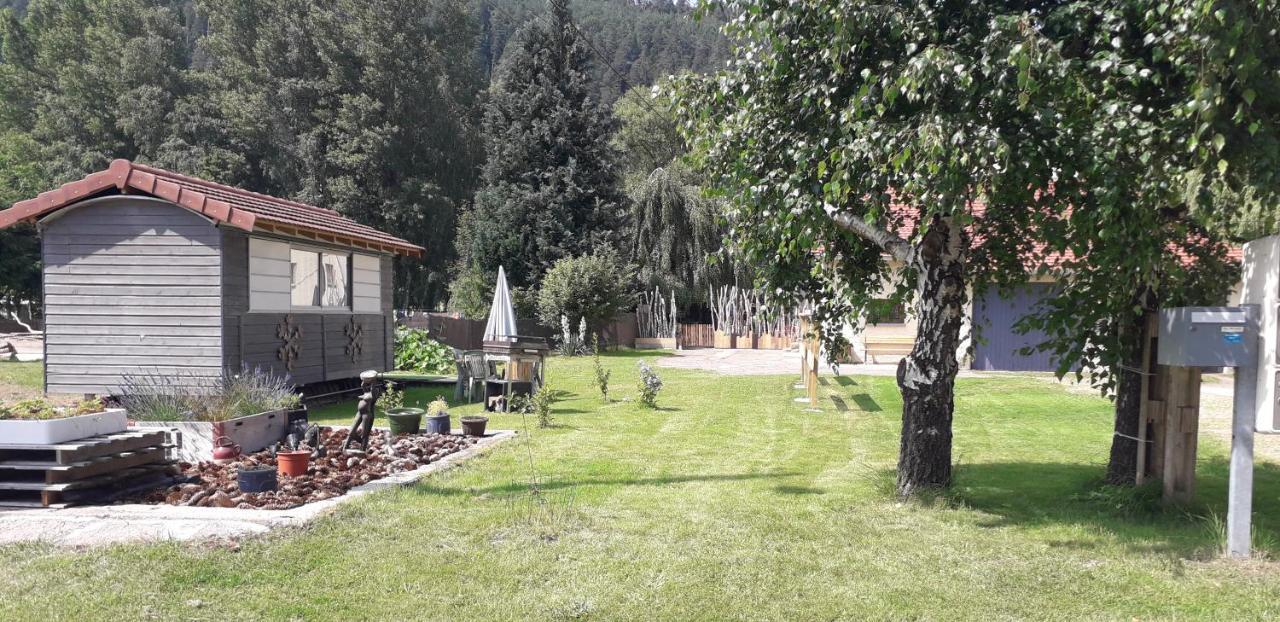 Gites, Les Jonquilles, Le Sagard Et Bungalow Les Brimbelles, Nature Et Detente La Houssiere エクステリア 写真